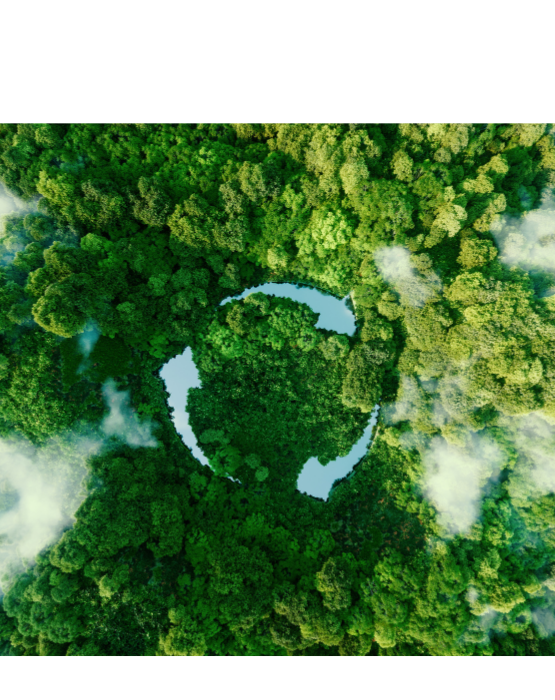 Nachhaltigkeit OPED Nachhaltigkeit bei OPED